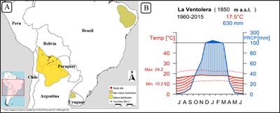 Radiocarbon and wood anatomy as complementary tools for generating tree-ring records in Bolivia